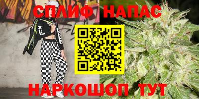 МДПВ Севастополь