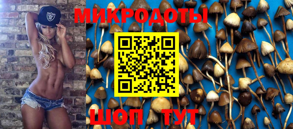 Псилоцибиновые грибы Psilocybine cubensis  Вход с VPN  Северск 
