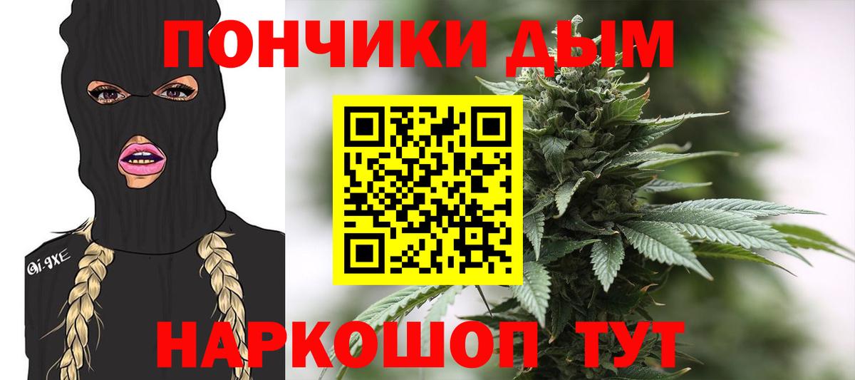 Канабис сатива Северск